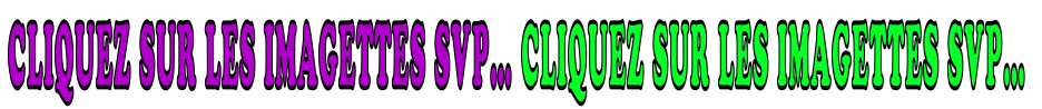 CLIQUEZ SUR LES IMAGETTES SVP… CLIQUEZ SUR LES IMAGETTES SVP…