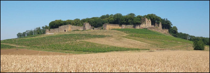 arlay-1-pano.jpg