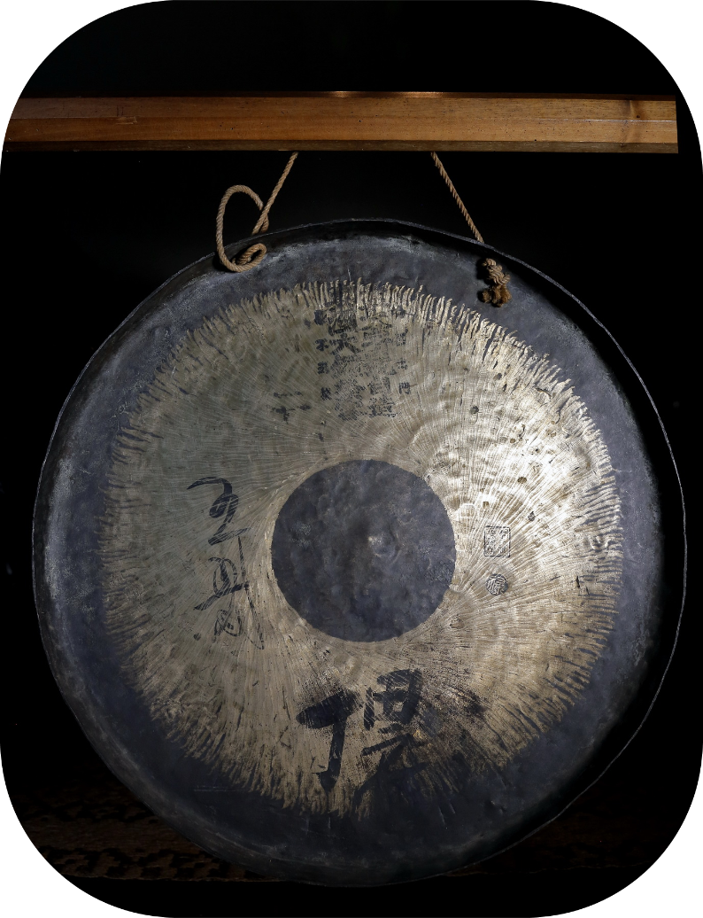 gong pasteur vue ensemble.png